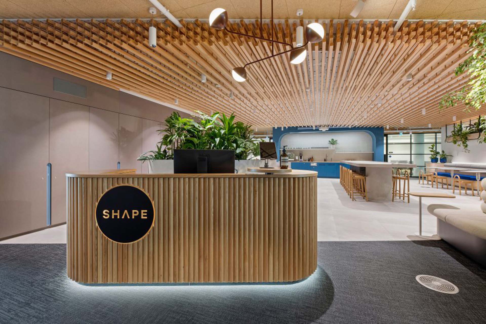 SHAPE Sydney Office