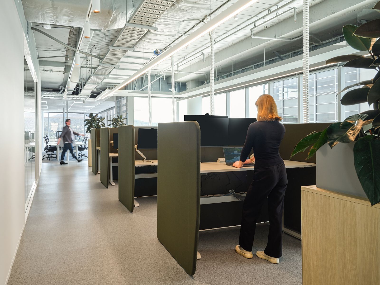 amsa-office-fitout-canberra-shape-australia_3