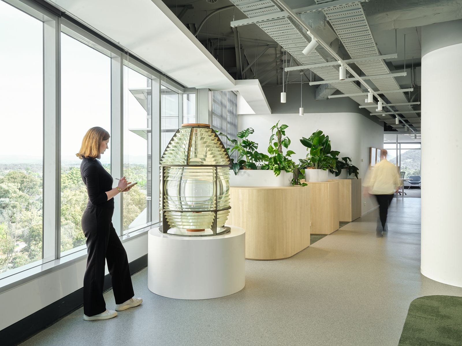 amsa-office-fitout-canberra-shape-australia_6