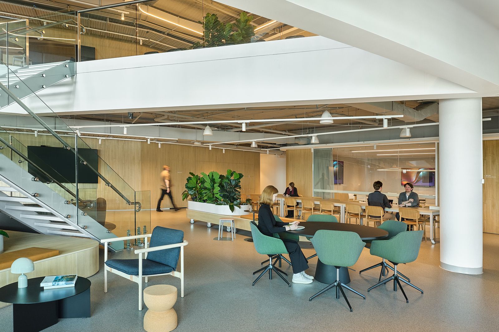 amsa-office-fitout-canberra-shape-australia_8